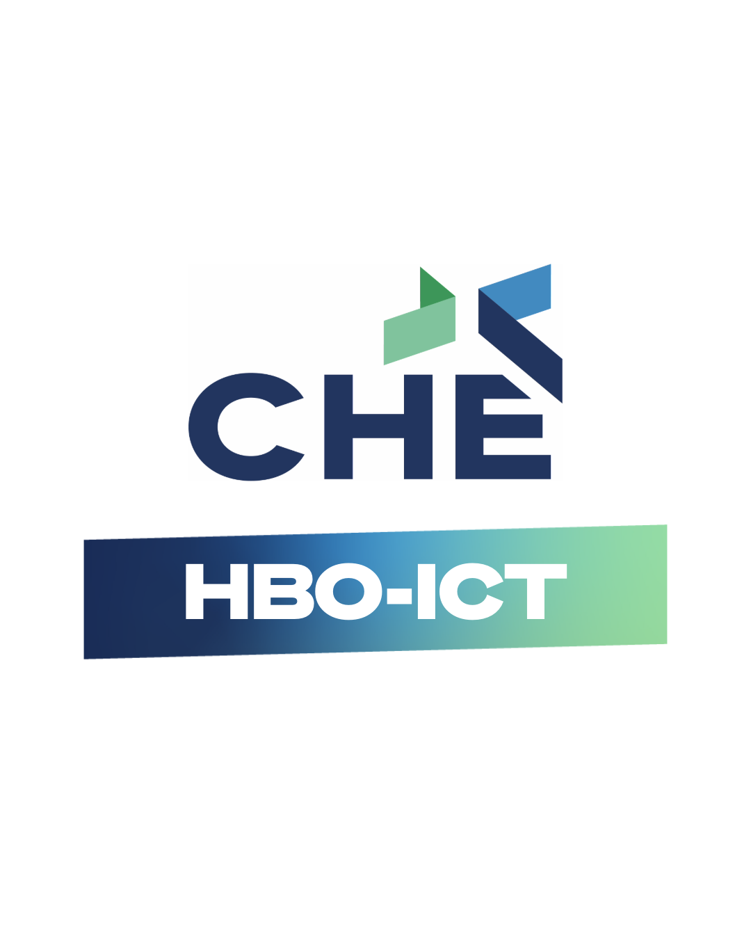 Uitstroomprofiel Developer