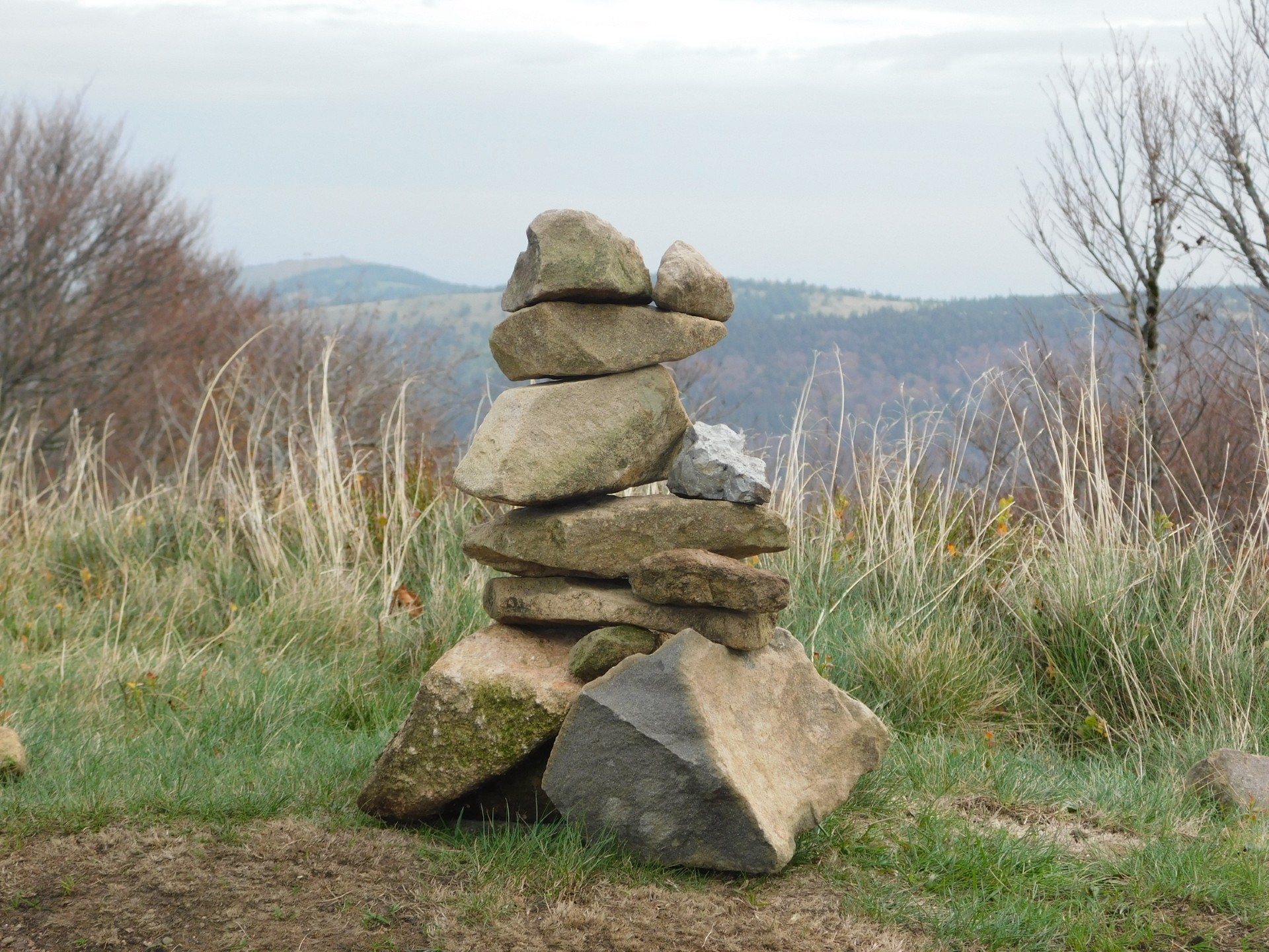 30Fbc3d9 1A83 42Ed 8720 D090273d3a64